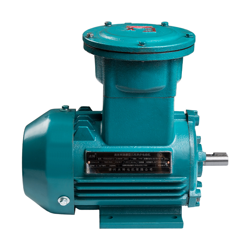 YFBX3 Dust Explosion-proof Three-phase Asynchronous Motor