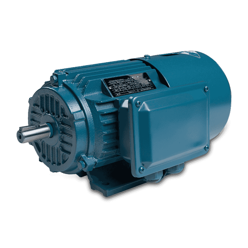 YPEJ Variable Frequency and Variable Speed Brake Motor