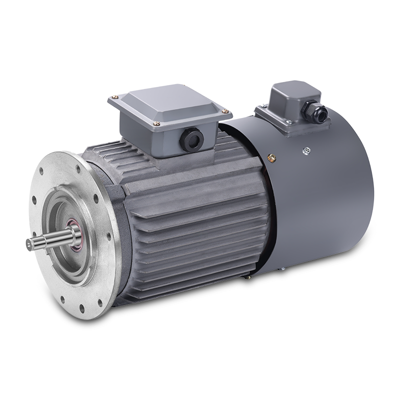 YVF2 Variable Frequency and Variable Speed Motor